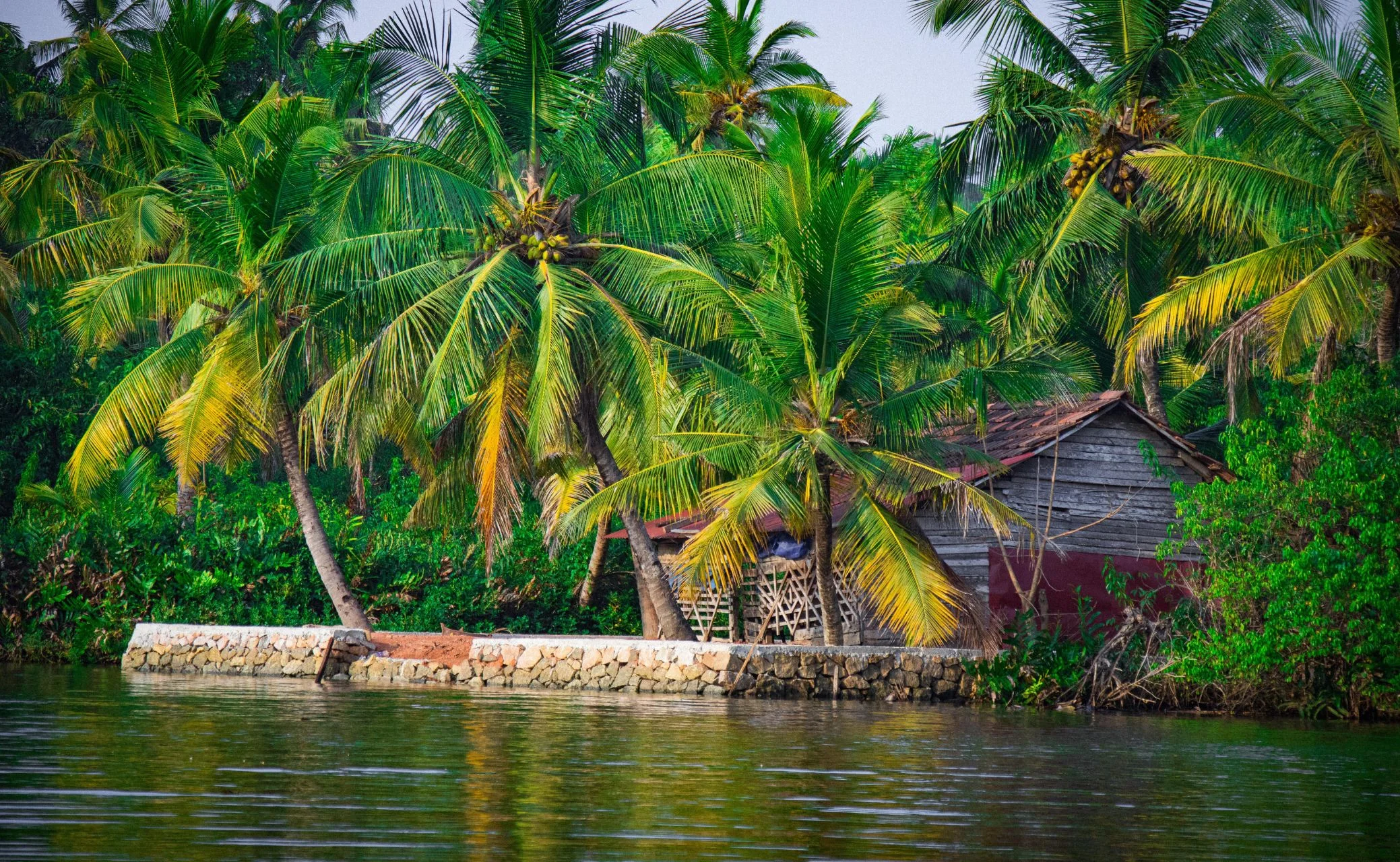 Coastal Treasures & Mountain Magic Tour